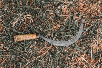 The Year of The Sickle, poem by Win Cadman at Spillwords.com