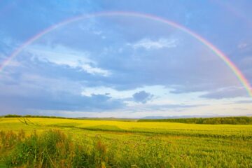 Rainbow Highlights, poetry by Marie Johnson-Ladson at Spillwords.com