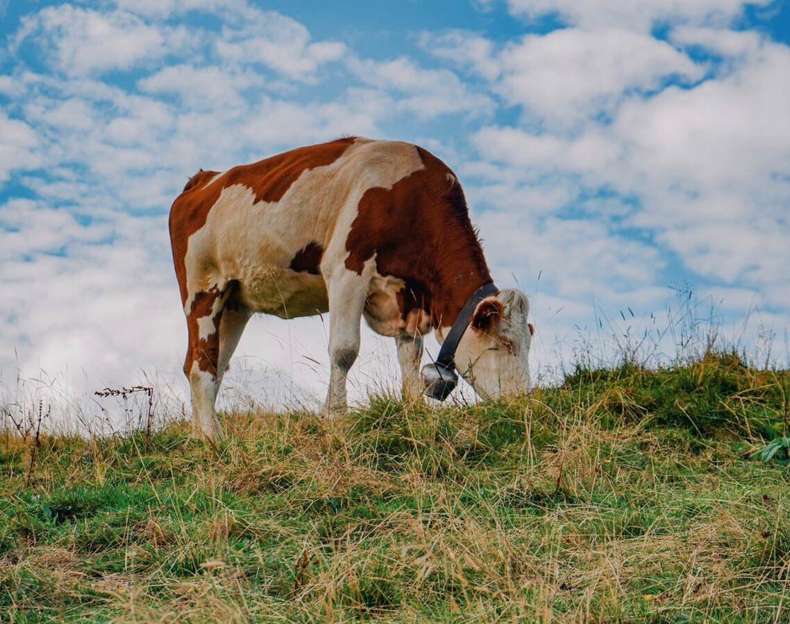 The Undertakers A Short Story Written By Doug Donnan At Spillwords