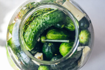 Clyde and The Pickle Jar, short story by Steve Carr at Spillwords.com