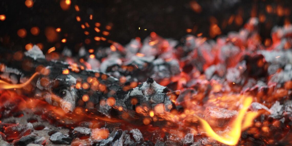 Compost, micro fiction written by Nancy Elliott at Spillwords.com