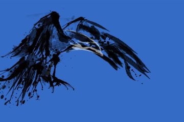 My Omen Crows, a poem by Paul Thwaites at Spillwords.com