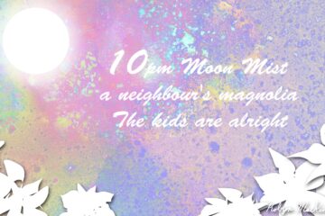 Moon Mist and Magnolias, a haiku by Robyn MacKinnon at Spillwords.com