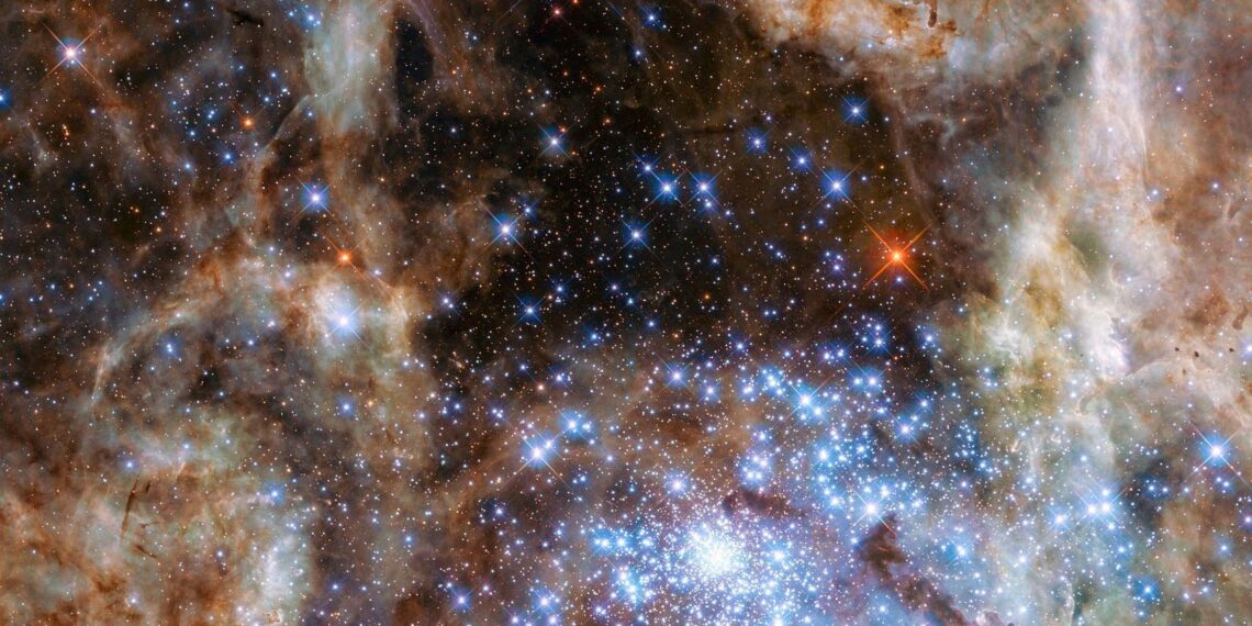 A Man Born of The Human Spirit, poem by Nguyễn Thị Phương Trâm at Spillwords.com