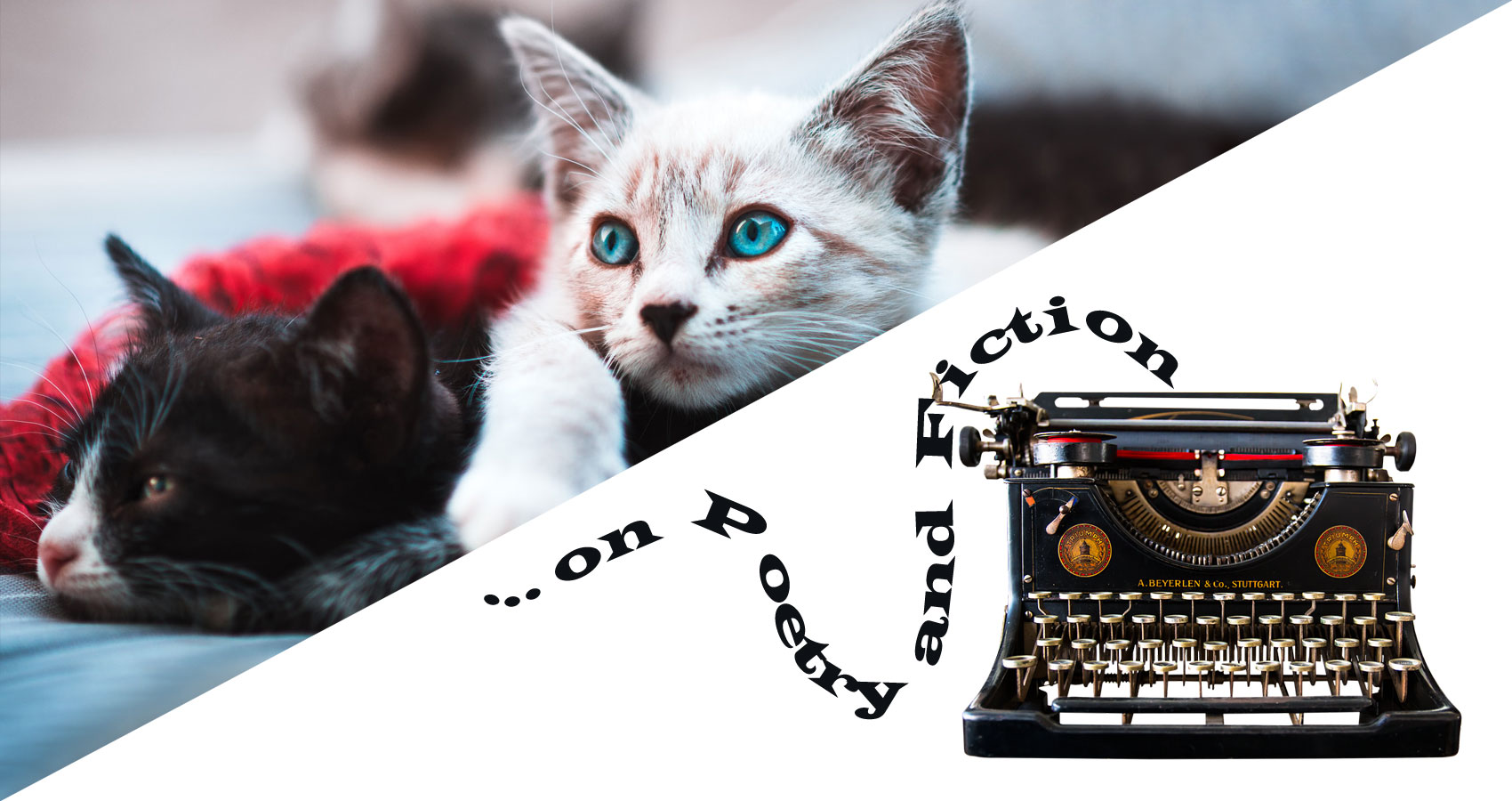 ...on Poetry and Fiction - Just “One Word” Away ("Cats"), editorial by Phyllis P. Colucci at Spillwords.com