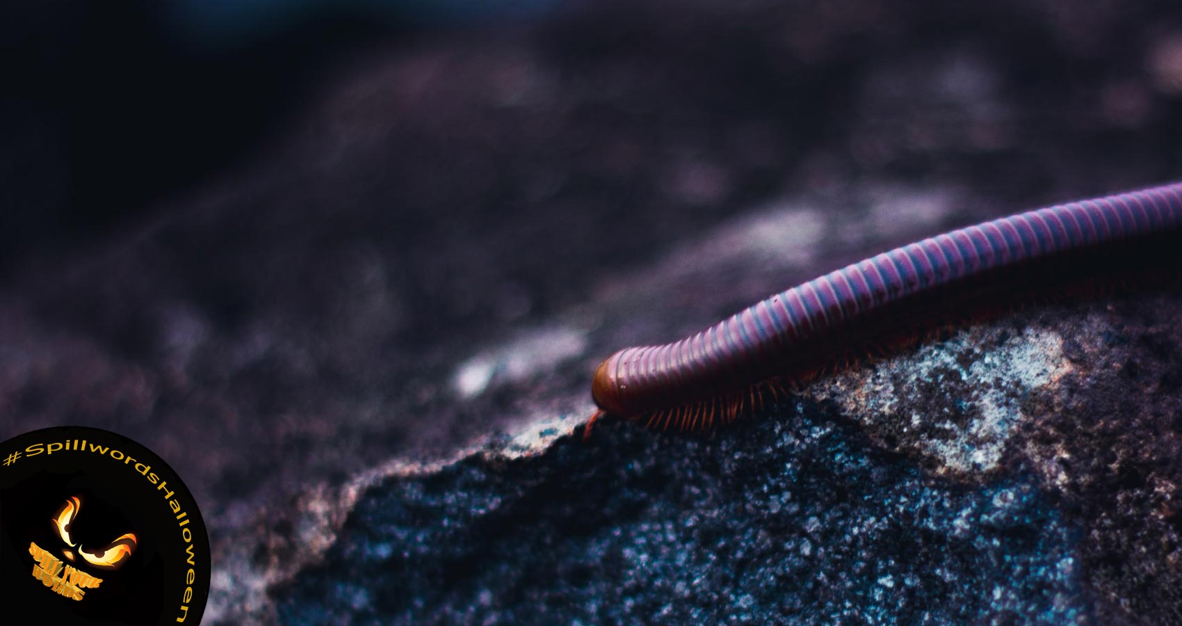 A Groveling of Worms, a poem by Melyssa G. Sprott at Spillwords.com