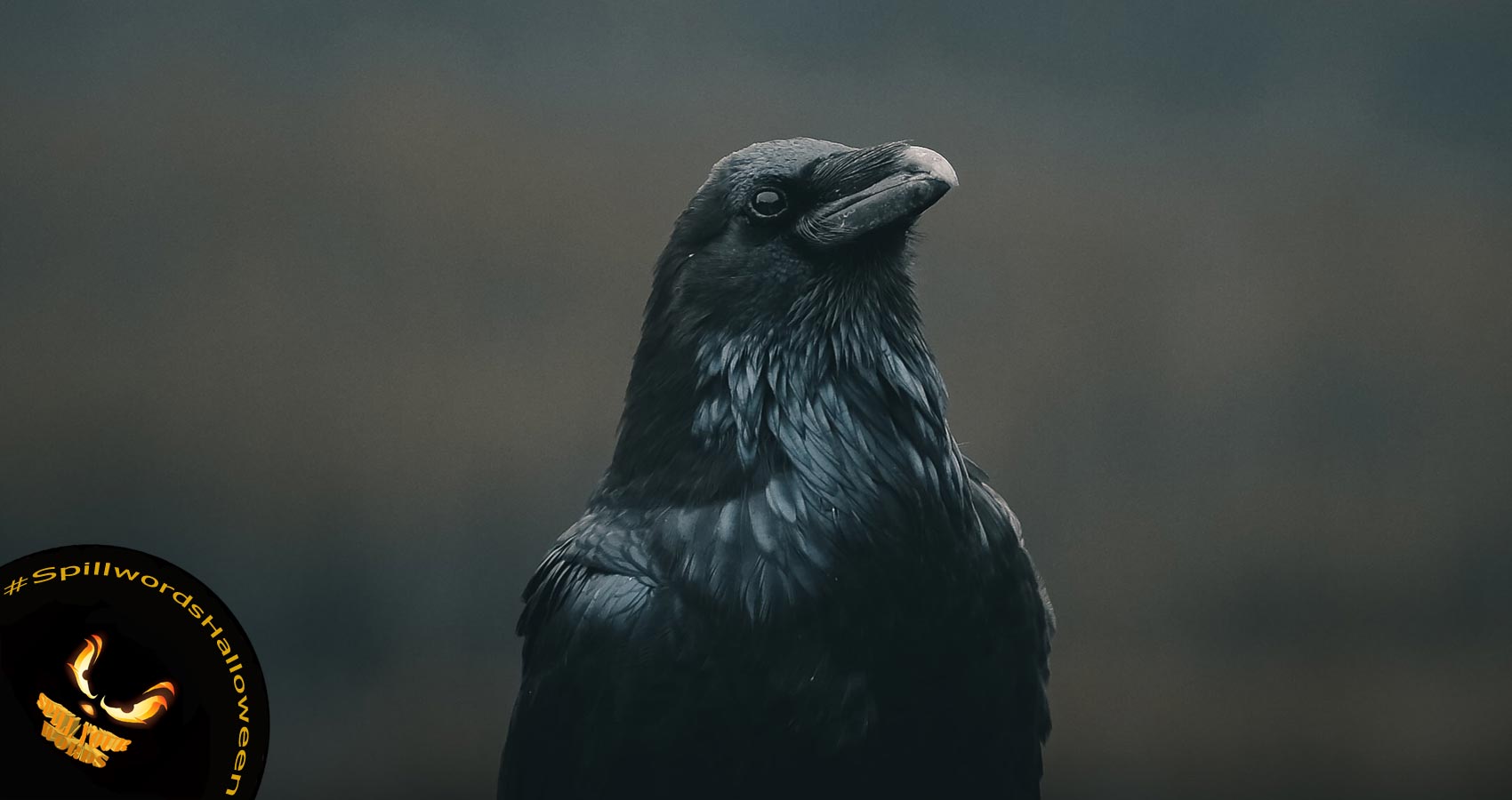 A Raven Recites Poe’s Words, poetry by Christina Ciufo at Spillwords.com