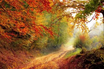 October Melody, poetry by Anahit Arustamyan at Spillwords.com