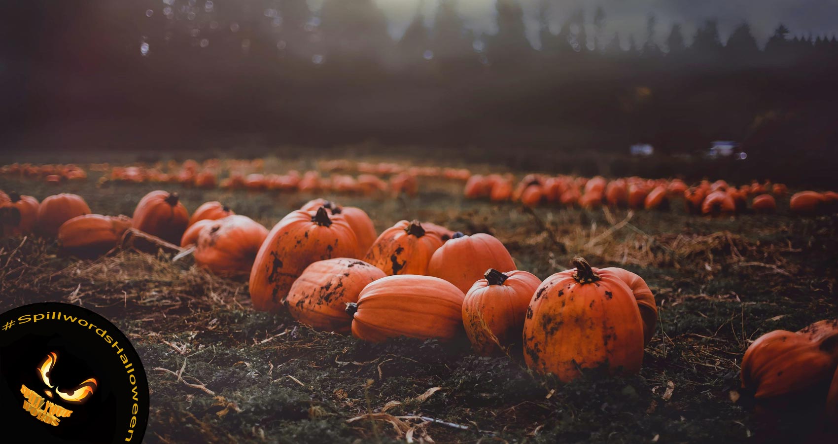 Pumpkins, poetry written by Paul Thwaites at Spillwords.com