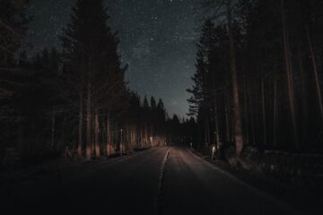 Road To Nowhere, a poem by K. RADHAKRISHNAN at Spillwords.com