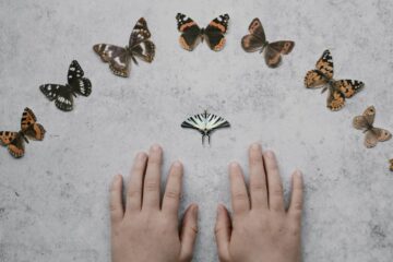 Butterflies and Moths, poetry by Karoline Lesande at Spillwords.com
