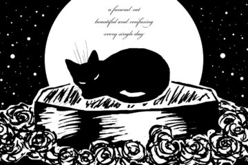 Funeral Cat, a haiku by Robyn MacKinnon at Spillwords.com