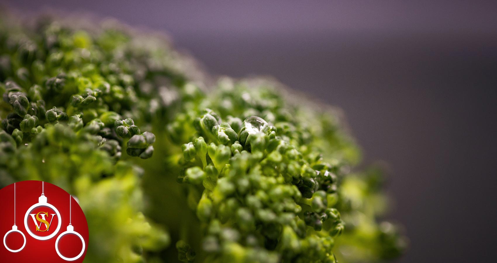Broccoli. a short story by Marion Donnellier at Spillwords.com