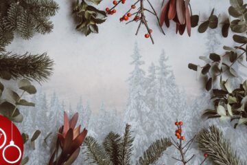 Festive Cheer, a poem by Jim Bellamy at Spillwords.com