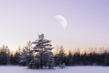 Daylight Moon, poetry written by James Bell at Spillwords.com