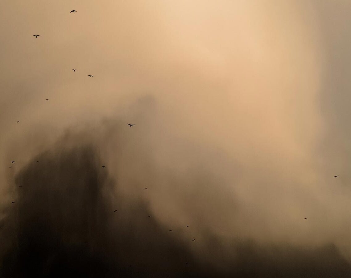 The death behind the wall micropoetry at