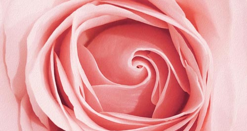 La Vie en Rose, poetry by Bhavya Prabhakar at Spillwords.com