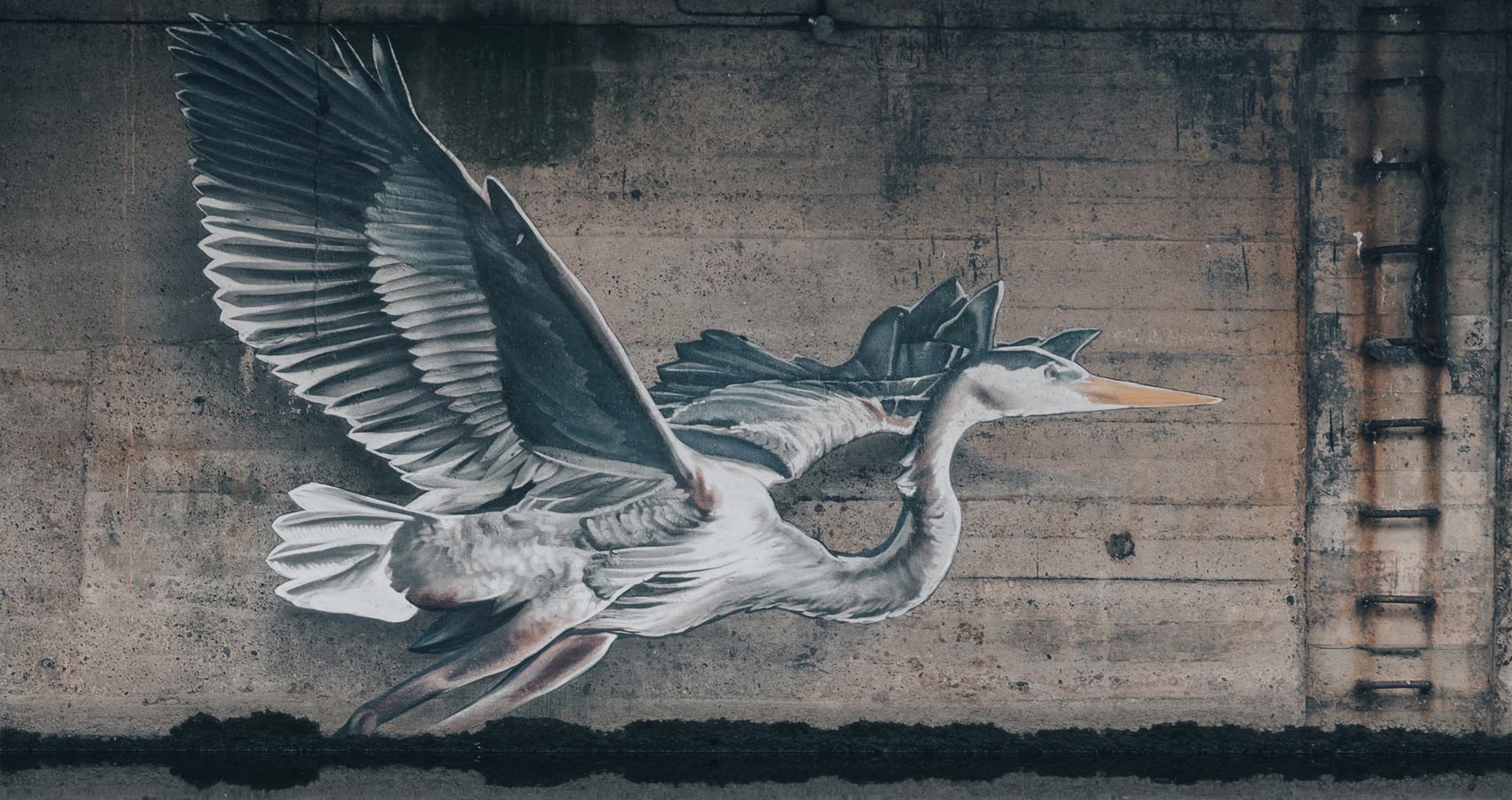 The Heron On The Weir, a poem by Alyson Faye at Spillwords.com