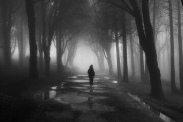 You Will Go, a poem by Jay Mora-Shihadeh at Spillwords.com
