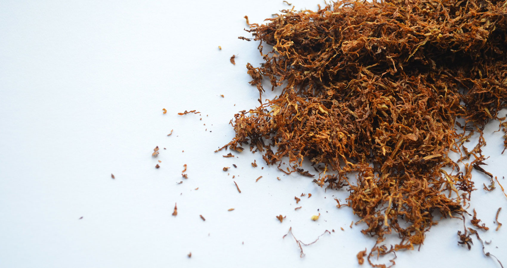 A Chew of Tobacco, a short story by Paul Thwaites at Spillwords.com