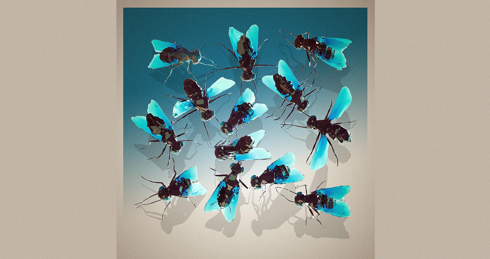 The Garden of Flies, a poem by Maciej Pająk (Matthew) at Spillwords.com