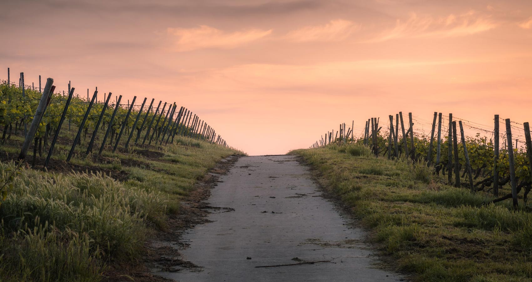 Amor Mundi, a poem by Christina Rossetti at Spillwords.com