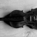 The Last Violin, a short story by Nancy Richy at Spillwords.com