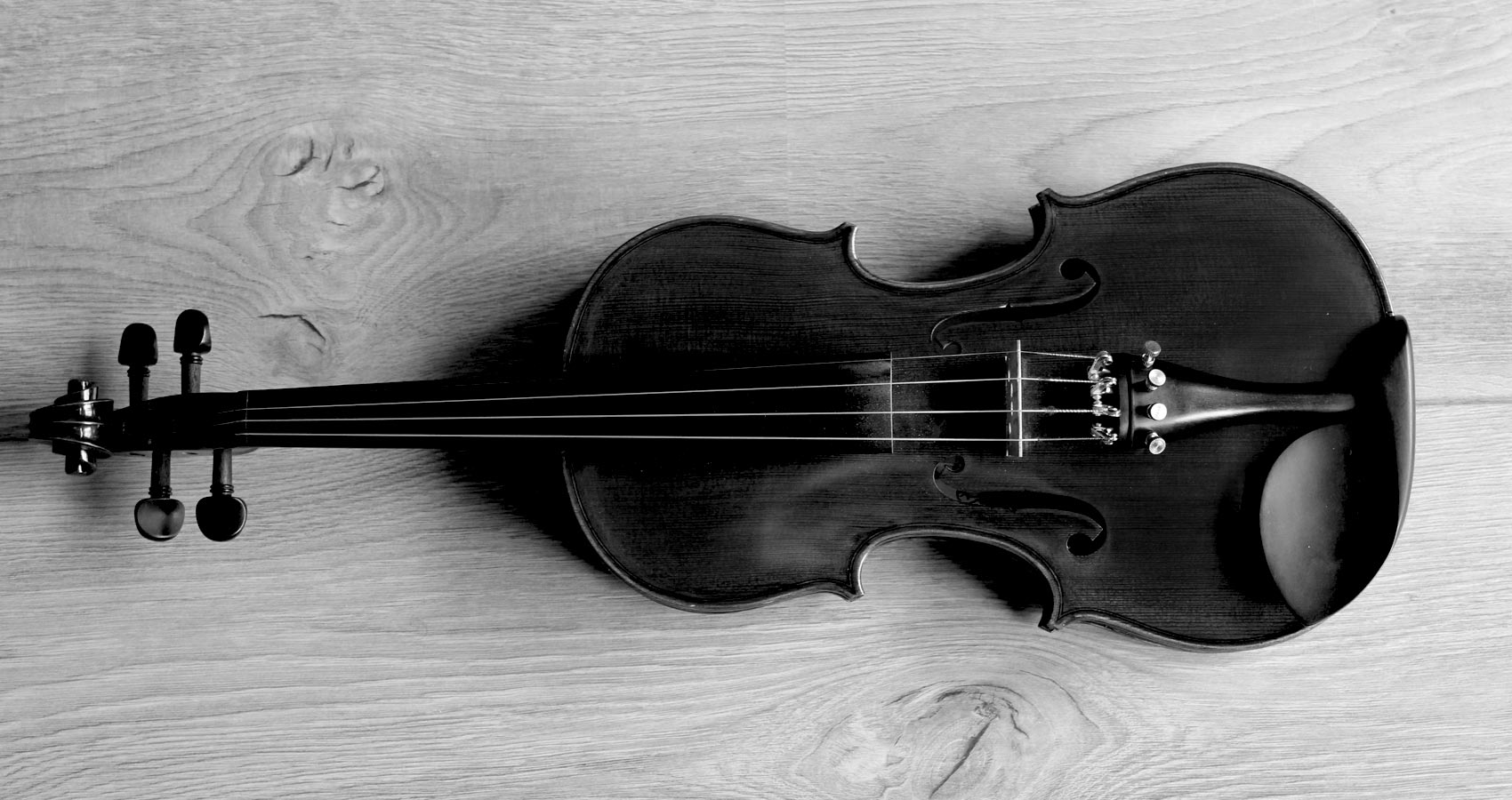 The Last Violin, a short story by Nancy Richy at Spillwords.com
