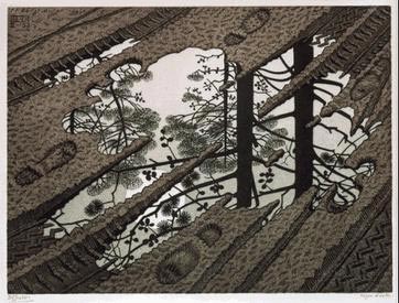 Puddles, After MC Escher's Print of The Same Name Done in 1952, poetry by Lynne Kemen at Spillwords.com