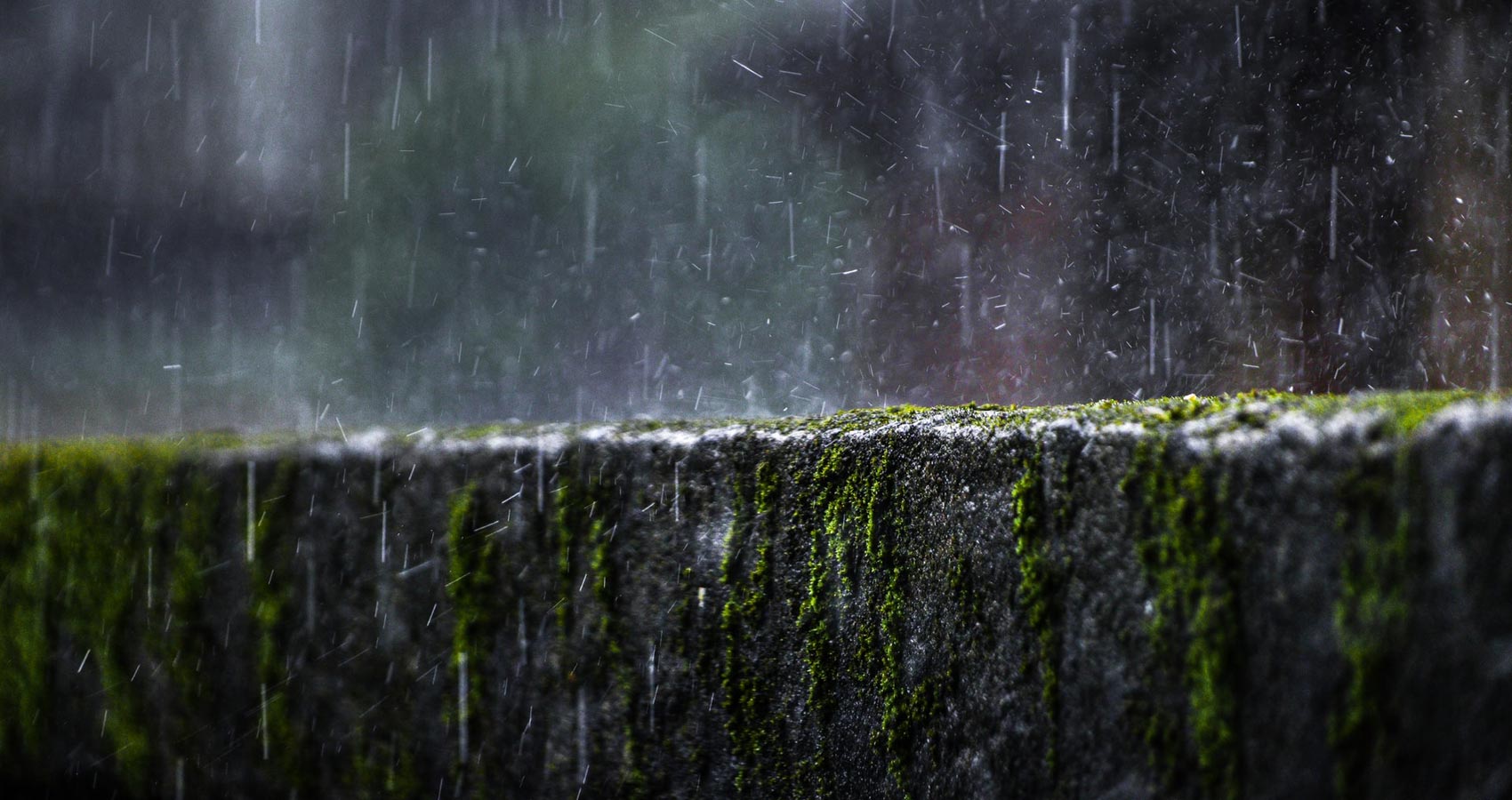 Song of The Rain VII, a poem by Khalil Gibran at Spillwords.com
