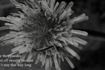 Sweetly, a haiga by Jerome Berglund at Spillwords.com