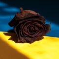 Ucraina, a poem written by Francesco Abate at Spillwords.com