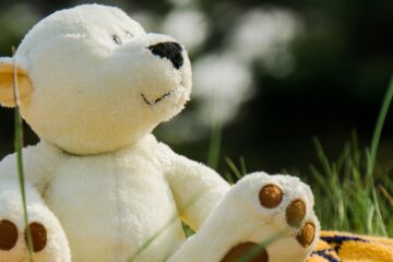 Defeated by The Polar Bear, flash fiction by Angela Creasy at Spillwords.com