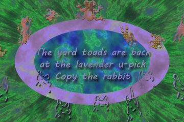 At The Lavender U-Pick, haiku by Robyn MacKinnon at Spillwords.com