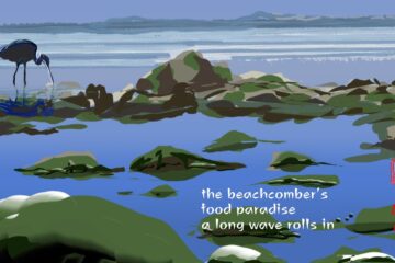 Beachcomber, a haiku by Christina Chin at Spillwords.com