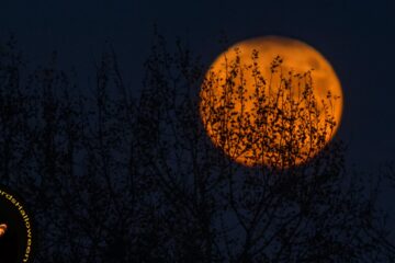 The Great Pumpkin Moon, micropoetry by Bartholomew Barker at Spillwords.com