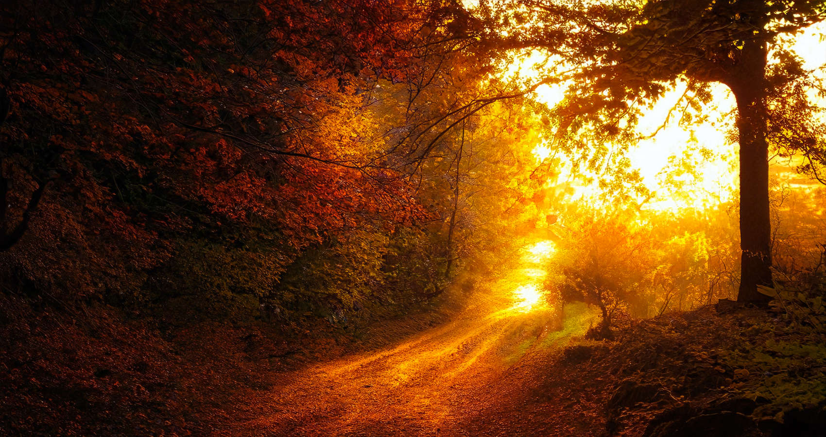 Autumn Morning, a poem by Jeff Flesch at Spillwords.com