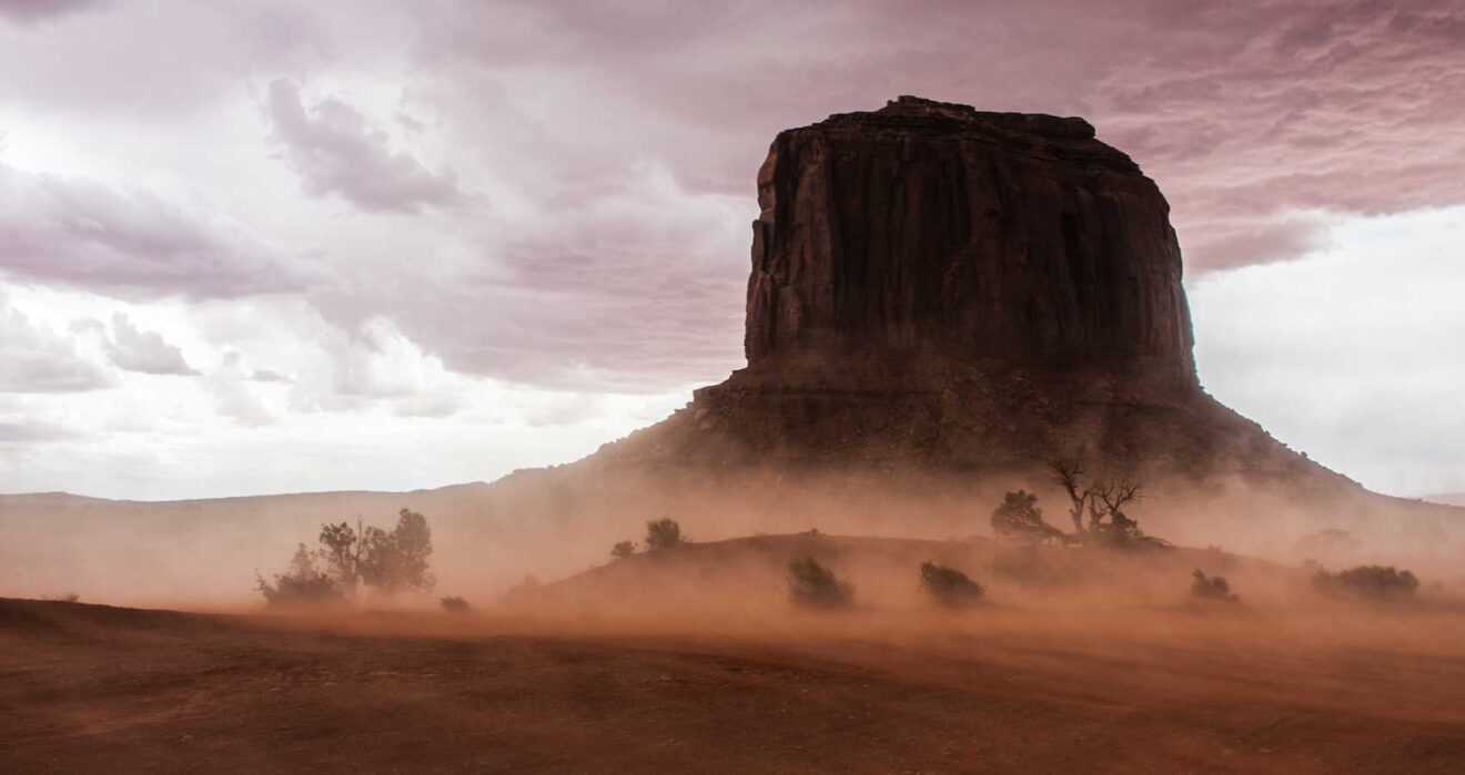 My Darling Clementine, poem by Carla Sarett at