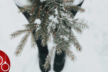 Christmas Lost, story by Verity Mason at Spillwords.com
