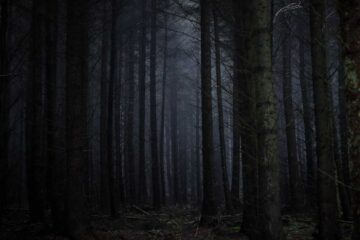 A Polish Prayer for The Woods, micro fiction by Iris Taylor at Spillwords.com