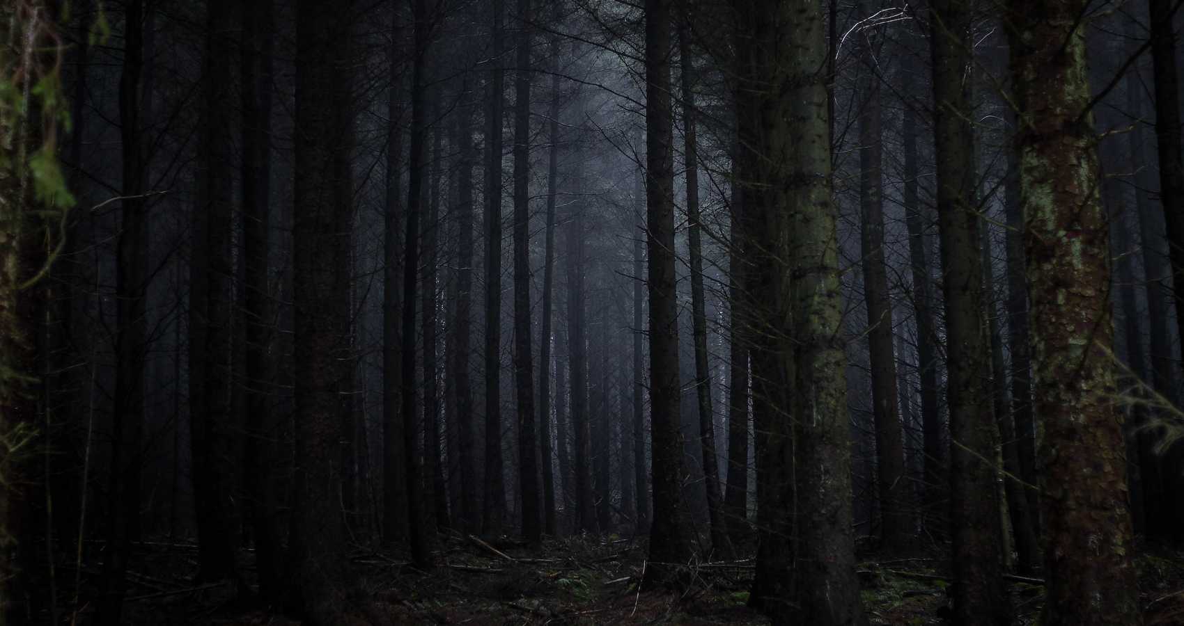 A Polish Prayer for The Woods, micro fiction by Iris Taylor at Spillwords.com