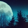 Like The Moonlight..!! poetry by Monika Ajay Kaul at Spillwords.com