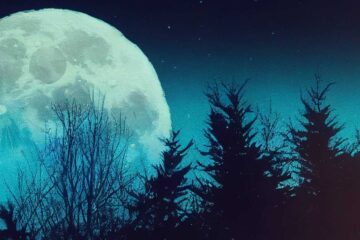 Like The Moonlight..!! poetry by Monika Ajay Kaul at Spillwords.com