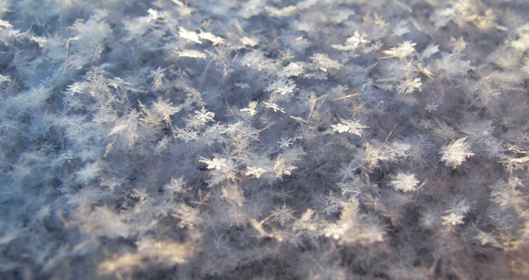 Snow-flakes by Henry Wadsworth Longfellow at Spillwords.com