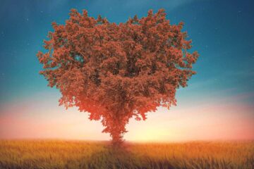 Blooming Love Tree, poem by Marius Alexandru at Spillwords.com