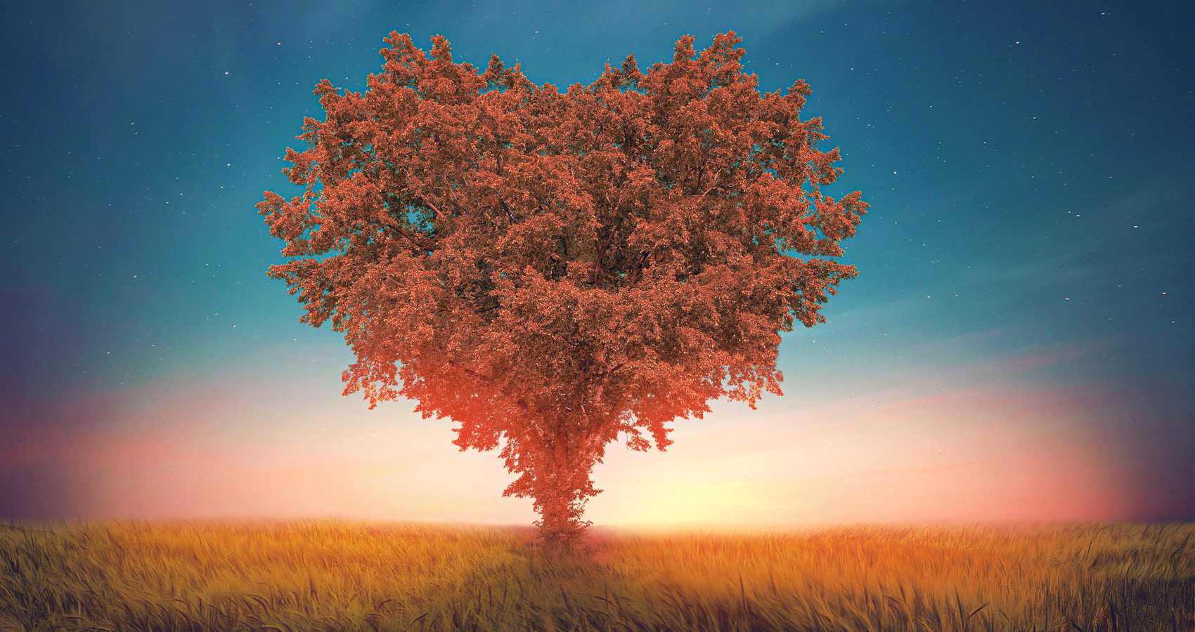 Love Tree