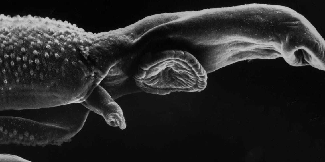 The Unwelcome Guest, poem by Maggie Watson at Spillwords.com