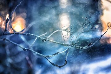 The Ice Storm, flash fiction by NT Franklin at Spillwords.com