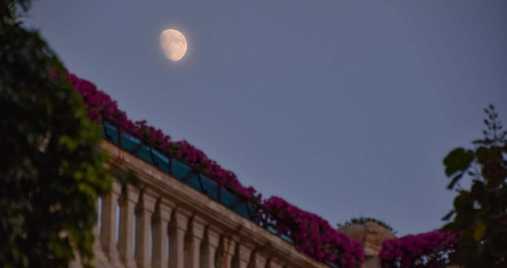 Gazing at The Moon From The Balcony, a poem by Walid Boureghda at Spillwords.com