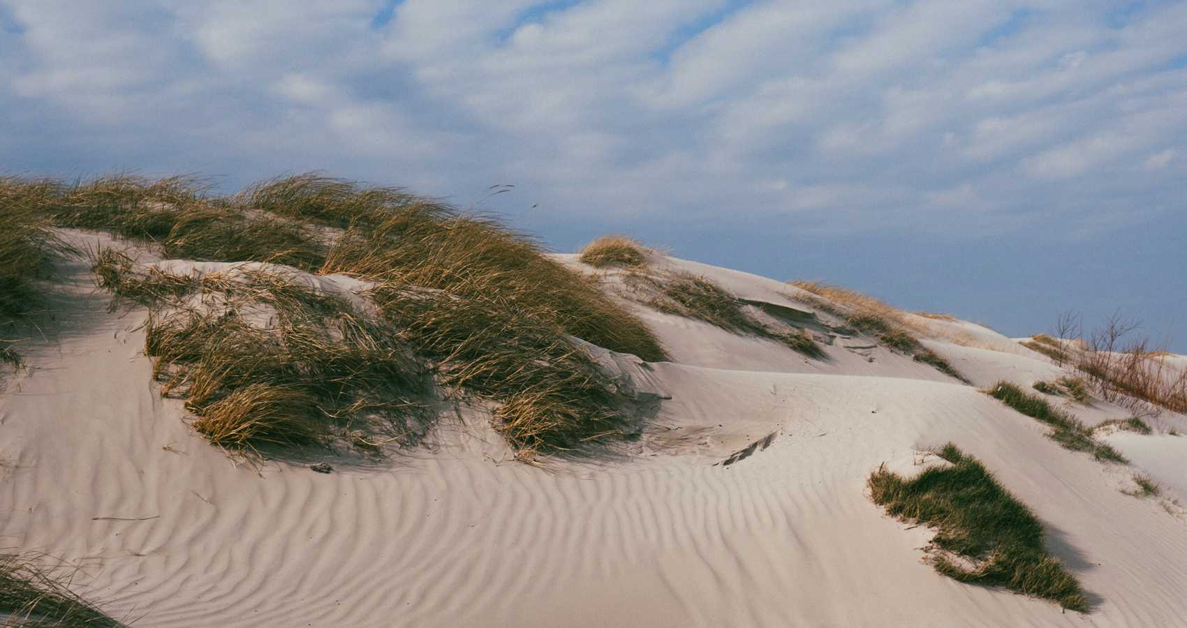 On Marram Hill, a poem by Paul Thwaites at Spillwords.com